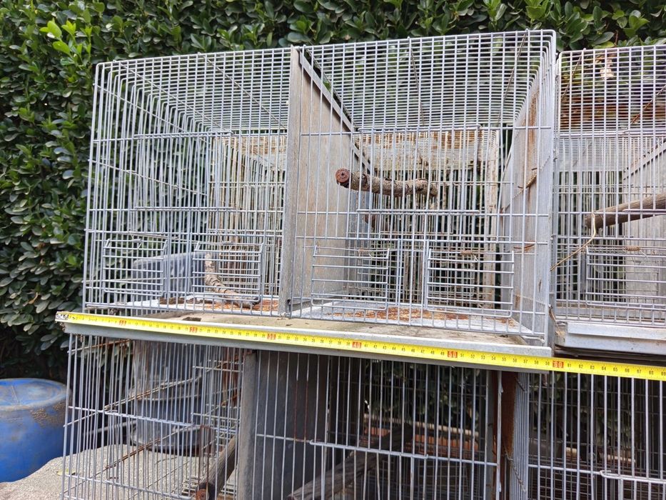 Oito Gaiolas Pássaros medidas pode observar nas fotos