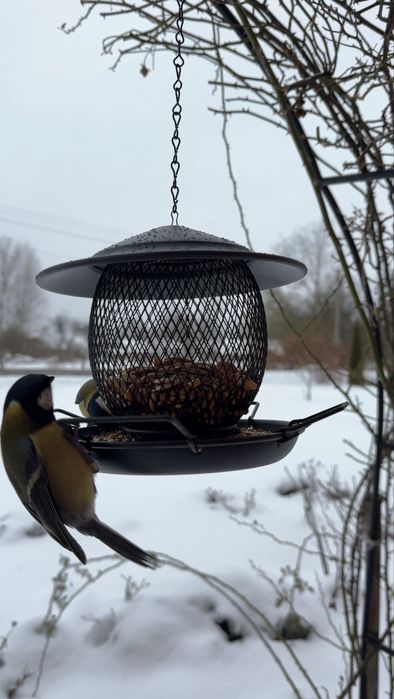 Годівниця для птахів