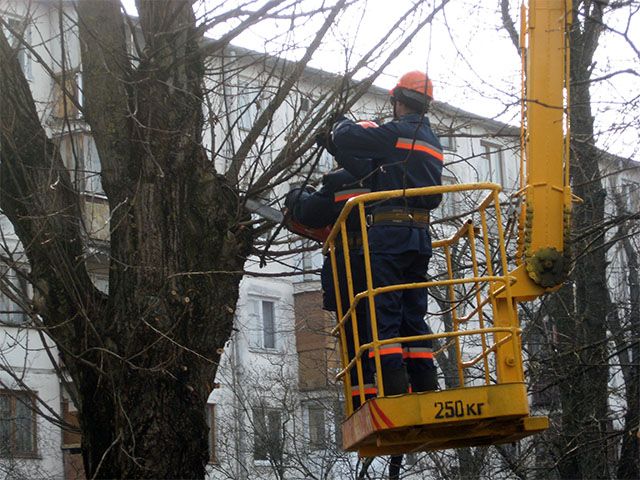 Спилю,обрежу деревья с авто вышки и без, вывоз ветки, дрова