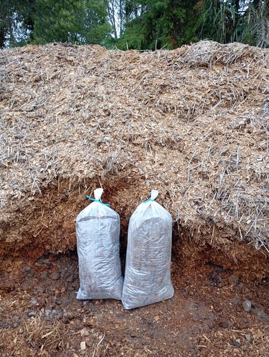 Estrume de Cavalo (puro)