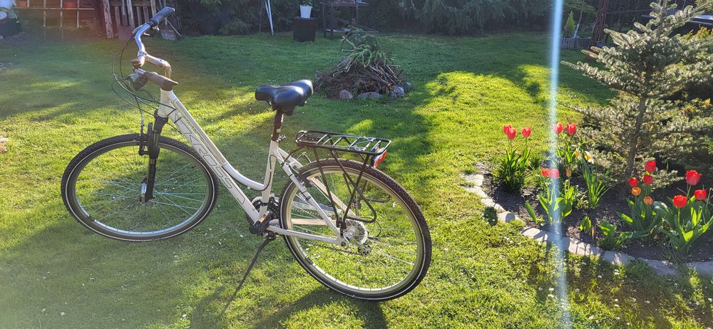 Rower Kross ATLANTIC