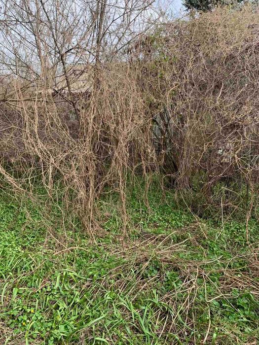 Круглик продам домик с участком