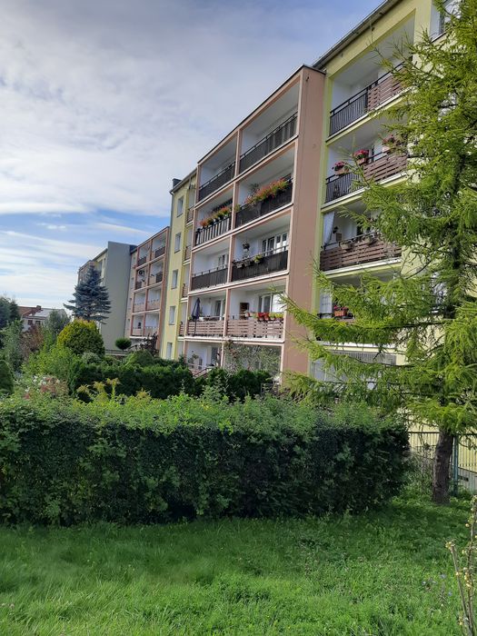Elbląg, mieszkanie do wynajęcia