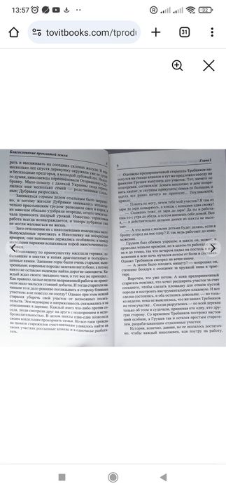 Жизнь за гранью, или Обретенное счастье. Повести. Людмила Шторк