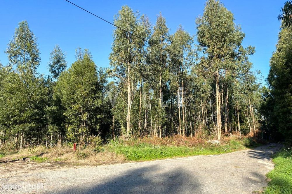 Terreno  Rústico com 1470m2 na zona de Anta Espinho