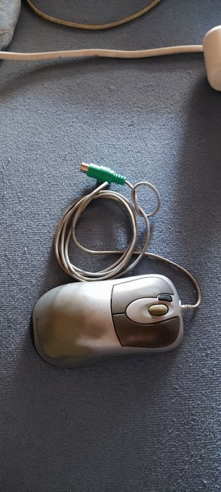 Мышь компьютерная