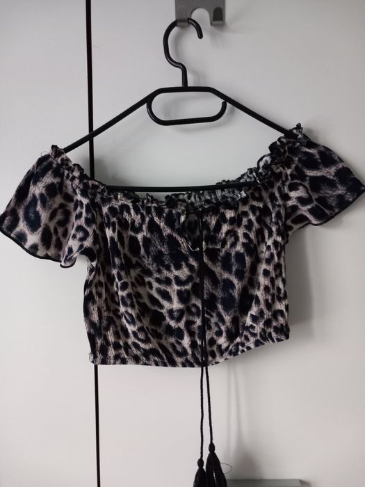 Top topik panterka wiązany