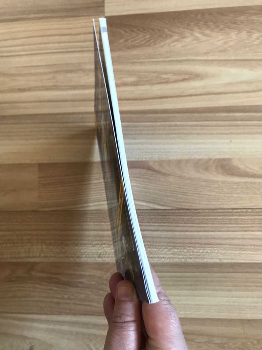 /Behawiorystyka pies psy/ Kundelki Heidi Rogner