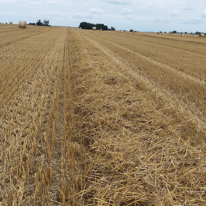 Sprzedam sianokiszonkę oraz siano i słomę