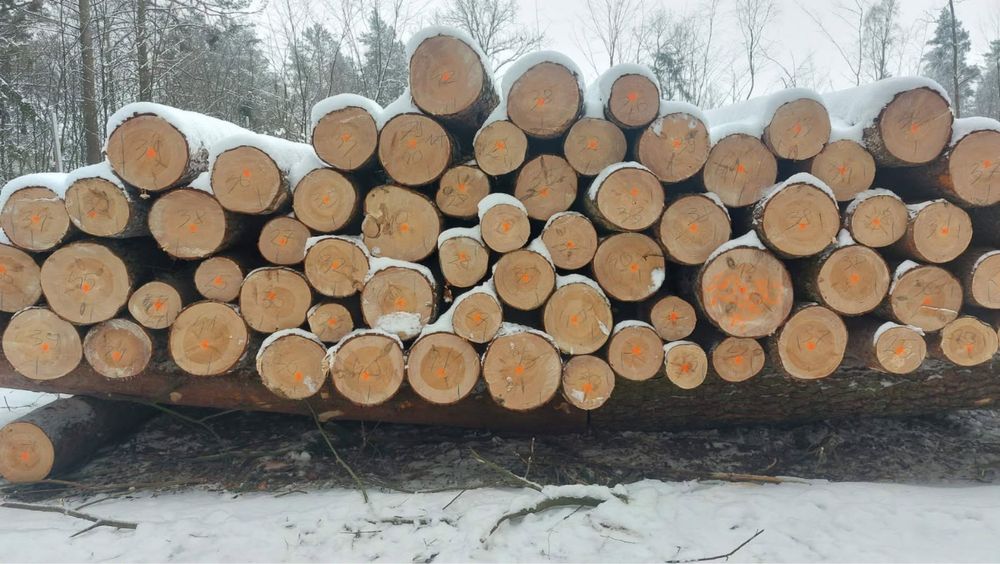 Altany wiaty garaże drewniane.