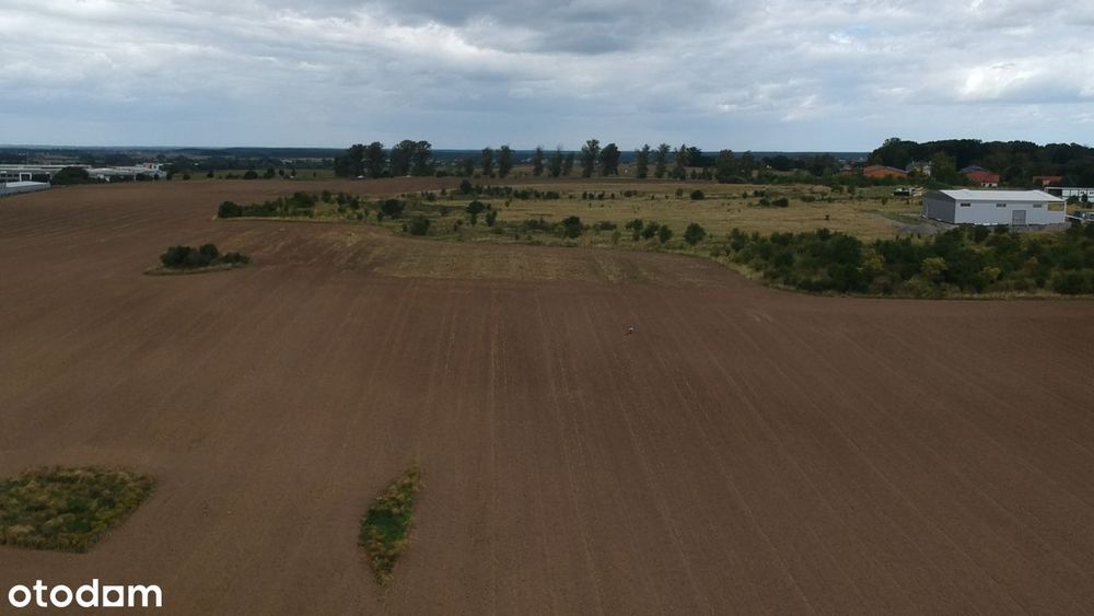 Wydane WZ (hale 3300 m2) + Strefa Gospodarcza w Planie Ogólnym!