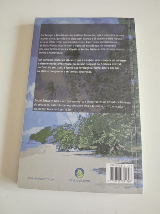 Livro A Mulata Solidão