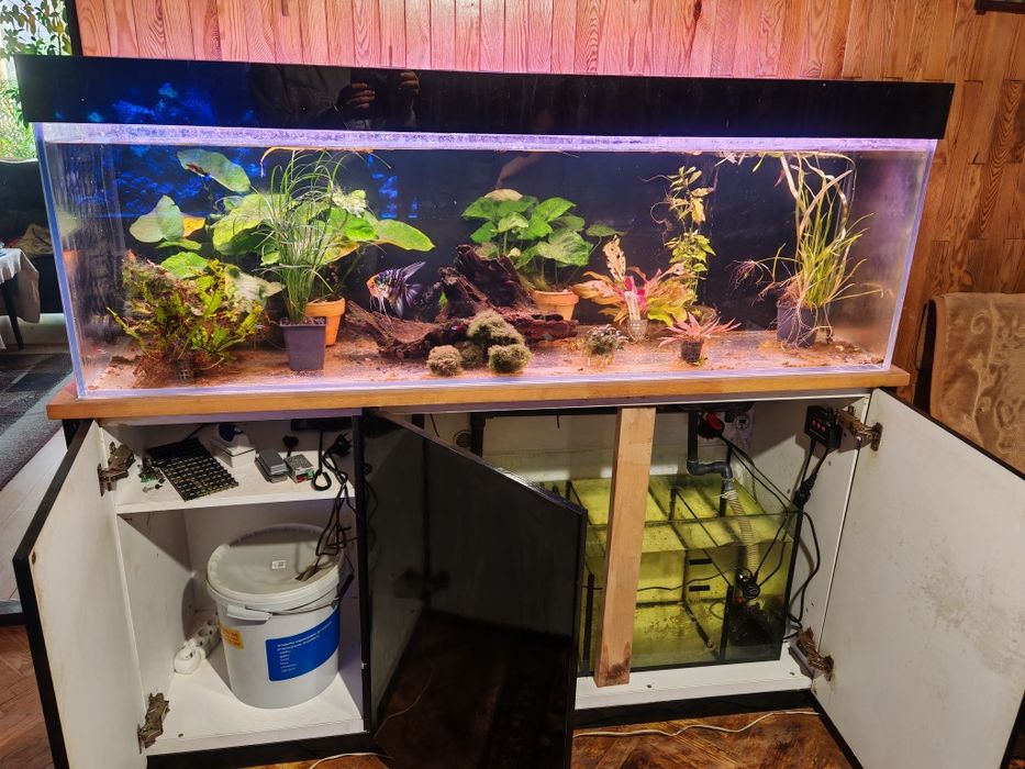 Akwarium 400 litrów