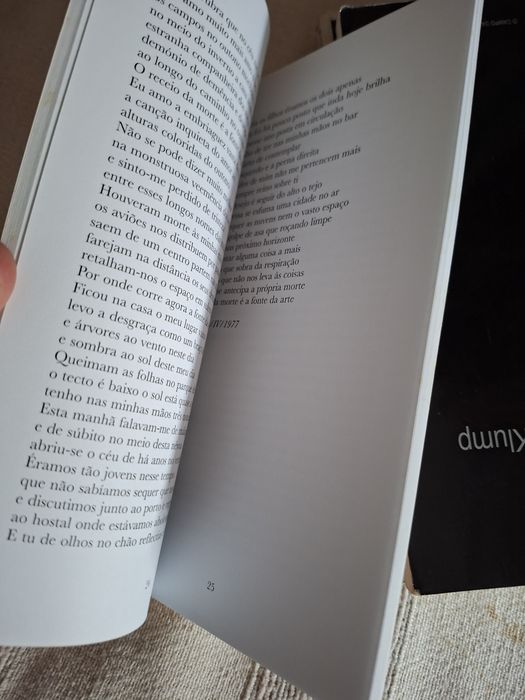 Poesia Ruy Belo Despeço-me da Terra da Alegria