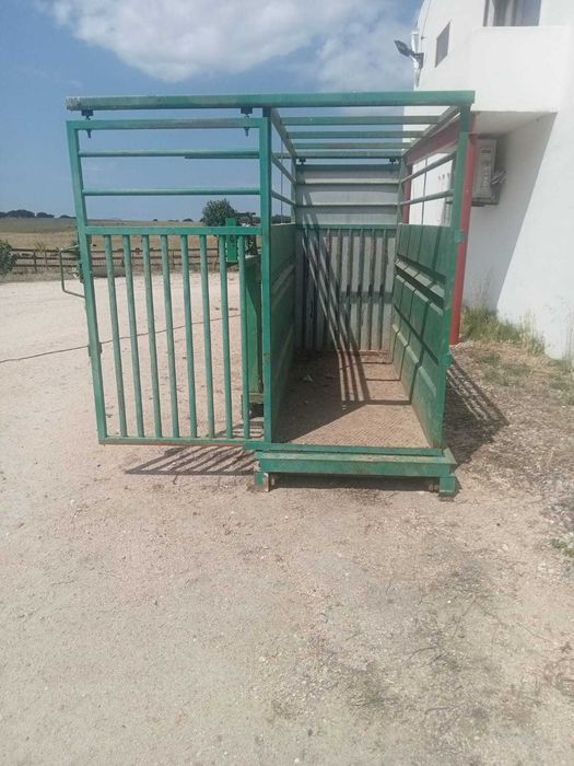 Balança de pesar vitelos