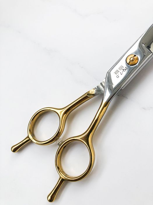 Професійні ножиці для грумінгу собак та котів – вигнуті ножиці