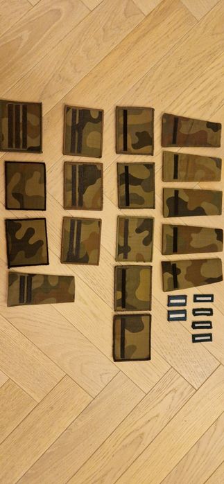 Pagon dystynkcja stopień