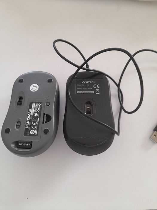 Rato otico e rato com fios64354256342658121