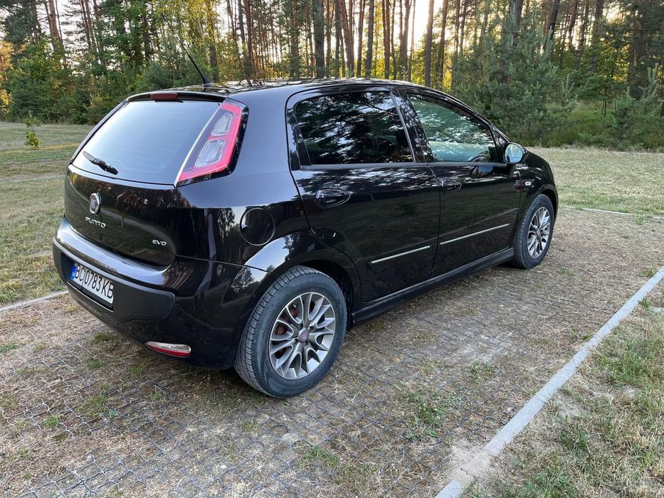 Fiat Punto 1.3 дизель