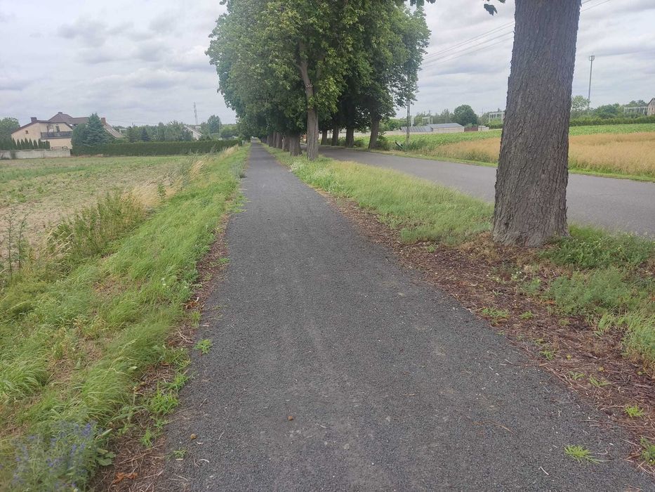 Działki budowlane z WZ – Września 5 km | Podstolice - Widok 4