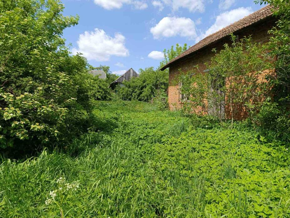 Продаж будинку у селі Орішківці