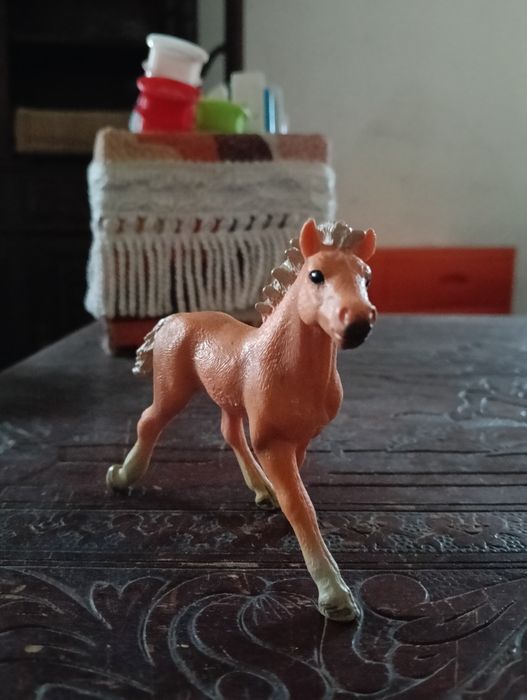 Conjunto Schleich 1