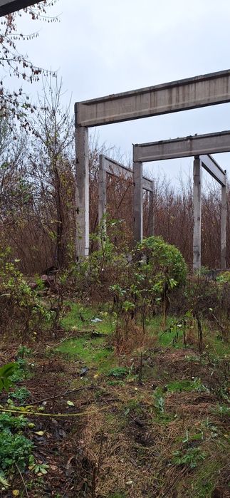 бетонные сваи и колонны