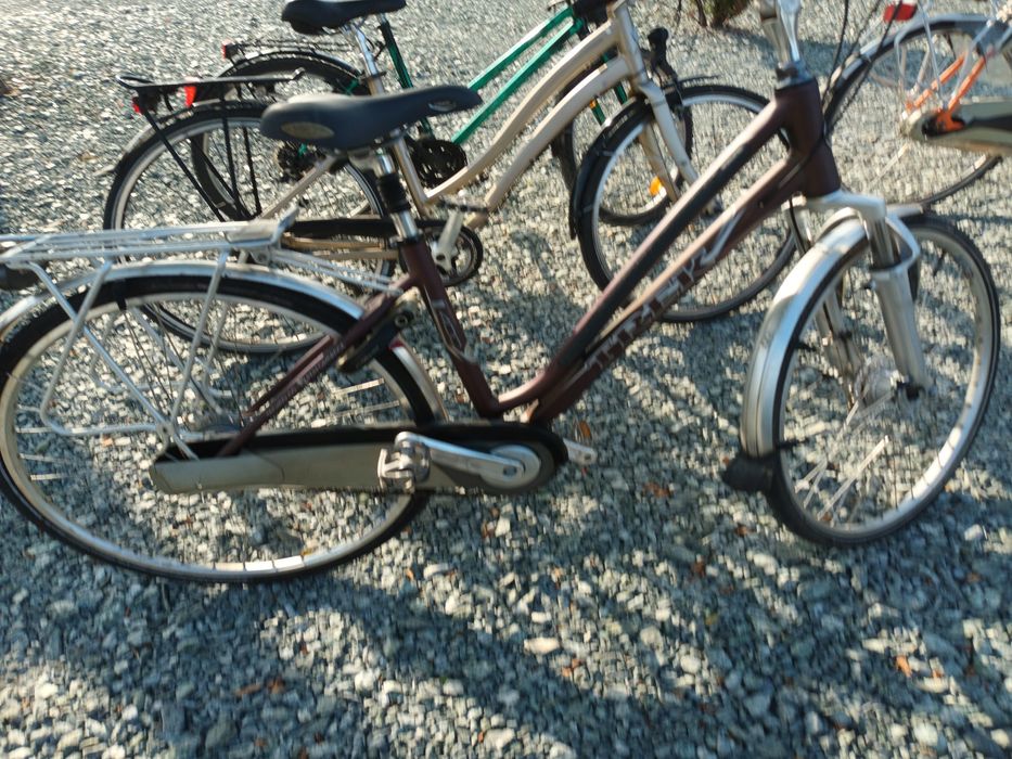 Sprzedam rowery Trek i Globe aluminium