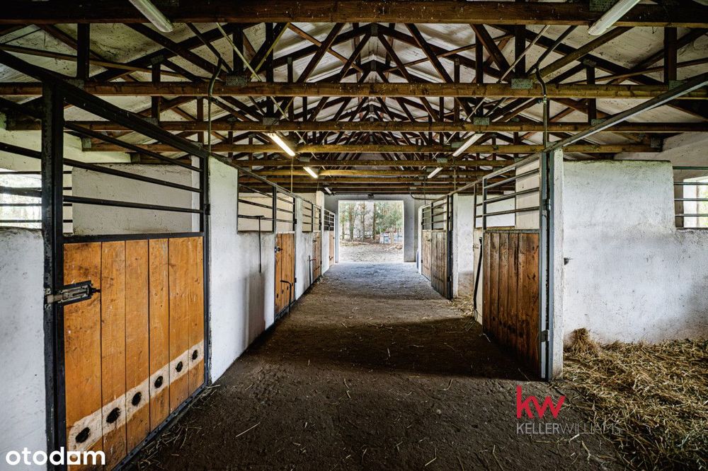 Stadnina z Duszą i Potencjałem inwestycyjnym