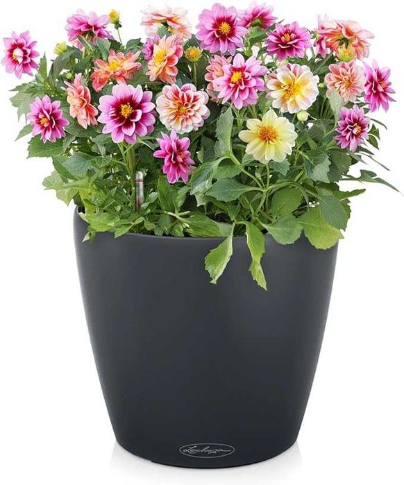 LECHUZA Duża donica z systemem nawadniania Classico szary 70x70x64,5 cm 145l