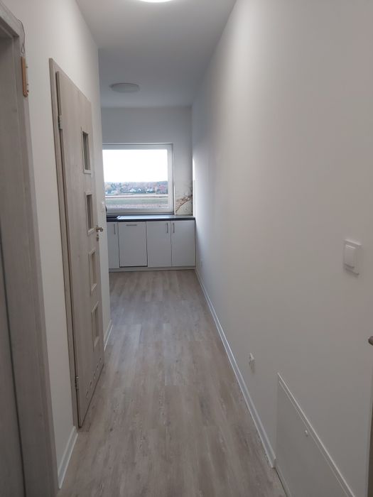 Mieszkanie na wynajem w Szewcach