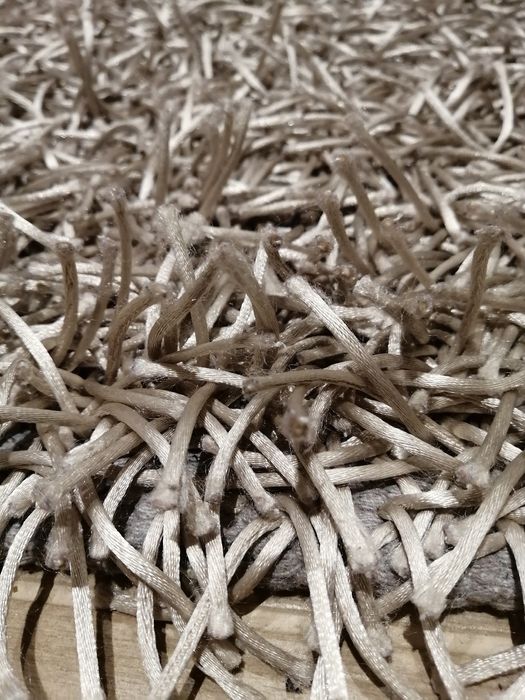 Tapete Cinzento 230 cm