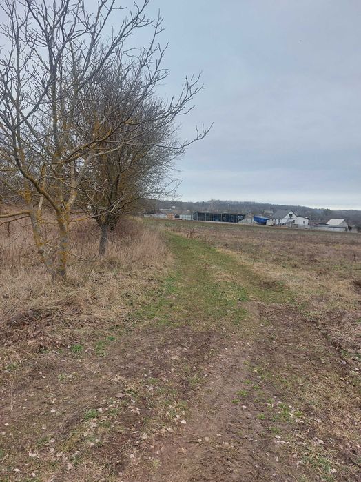 Продаж земельної ділянки с.Кунин