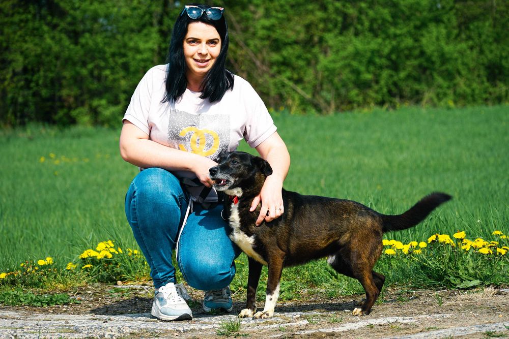 GRATIS - super fajny psiak szuka domu