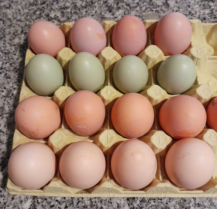 Vendem-se ovos caseiros