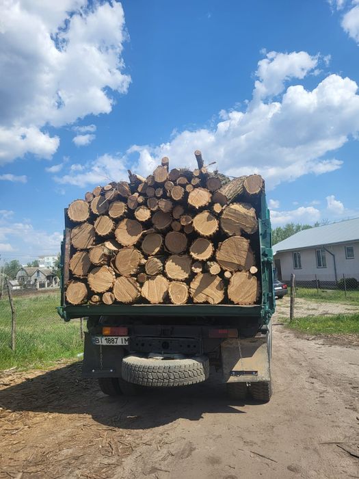 Дрова твердих порід