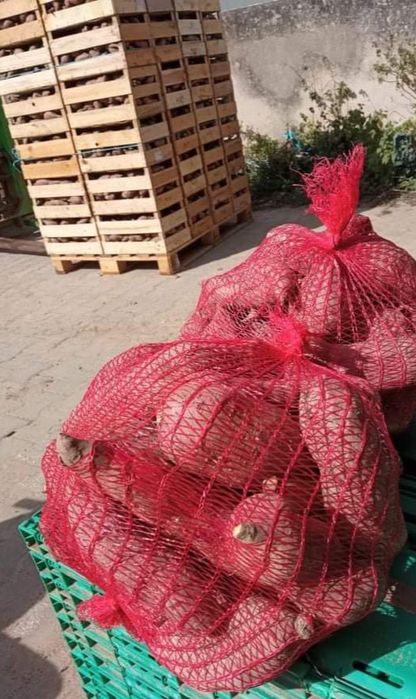 Batata doce laranja lugar da estrada