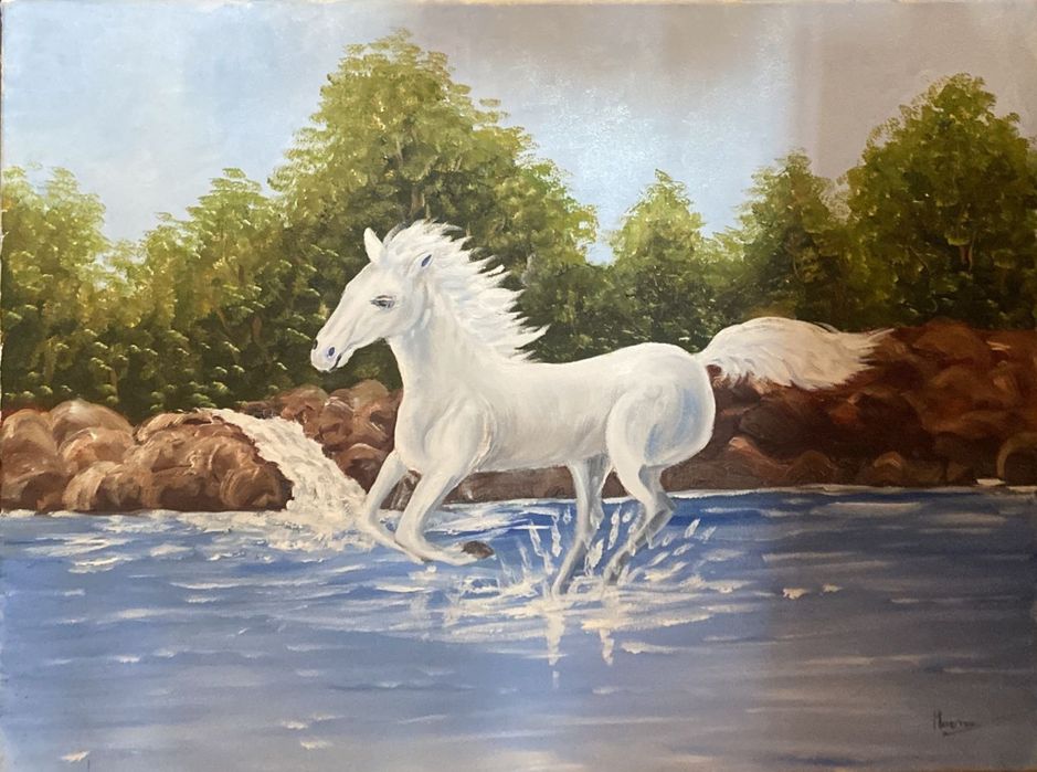 Telas a óleo pintadas