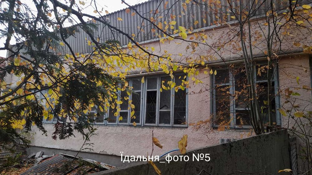 Цех стружки та цех хвойного екстракту площею 1289 кв.м, Волинська обл.,