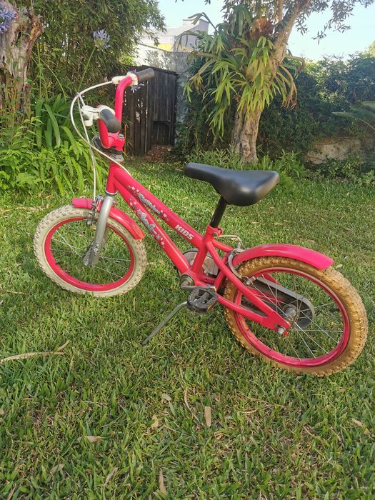 Bicicleta Criança roda 16