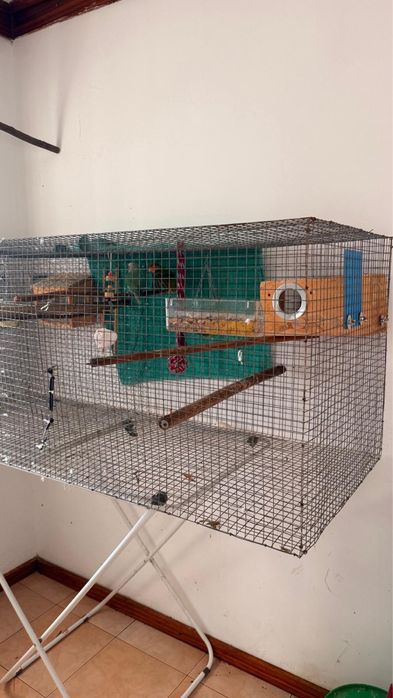 Grande Viveiro / Gaiola para Aves (1.60m) + Acessórios