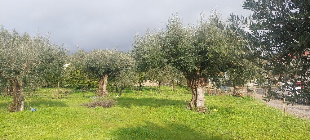Excelente terreno para  construção. Ótima  localização