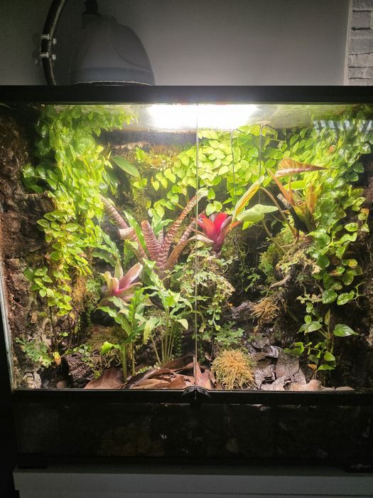 Terrarium paludarium
