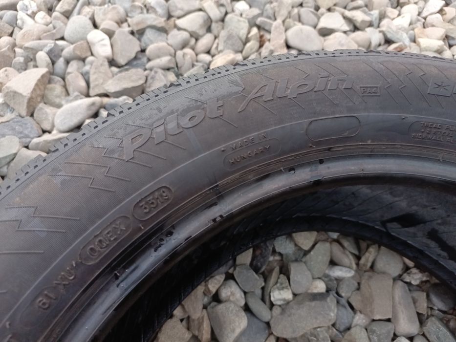 245.50.18 Michelin Pilot Alpin 2 шт