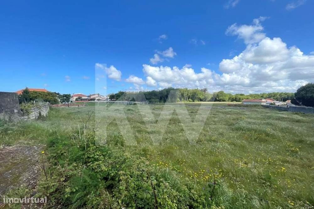 Large Rustic Plot of 5,050 m² Located in Murtosa