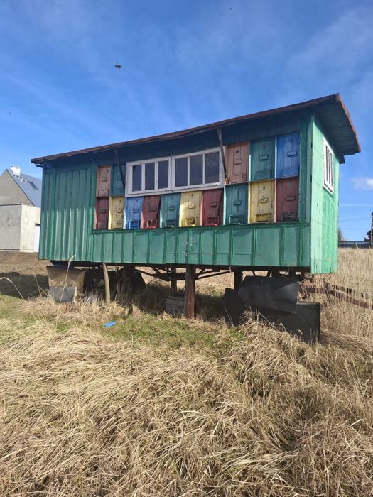 Wóz pszczelarski na 30 rodzin. Rodziny pszczele.