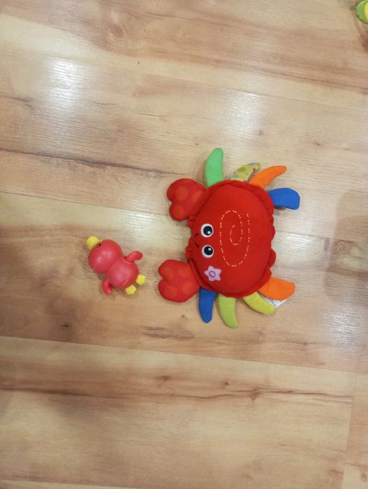 Krab do nauki raczkowania