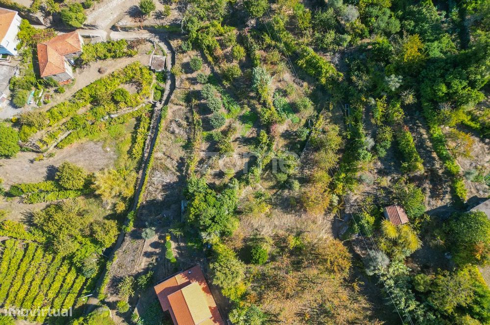 Terreno Rústico com Vistas Deslumbrantes para o Rio Douro