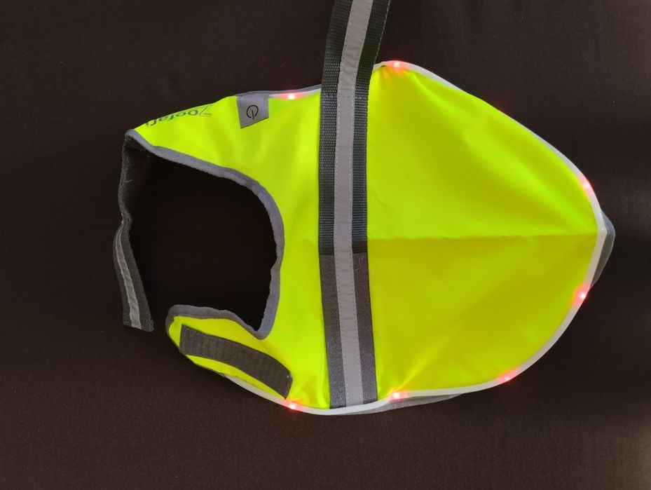 Все для собачки.