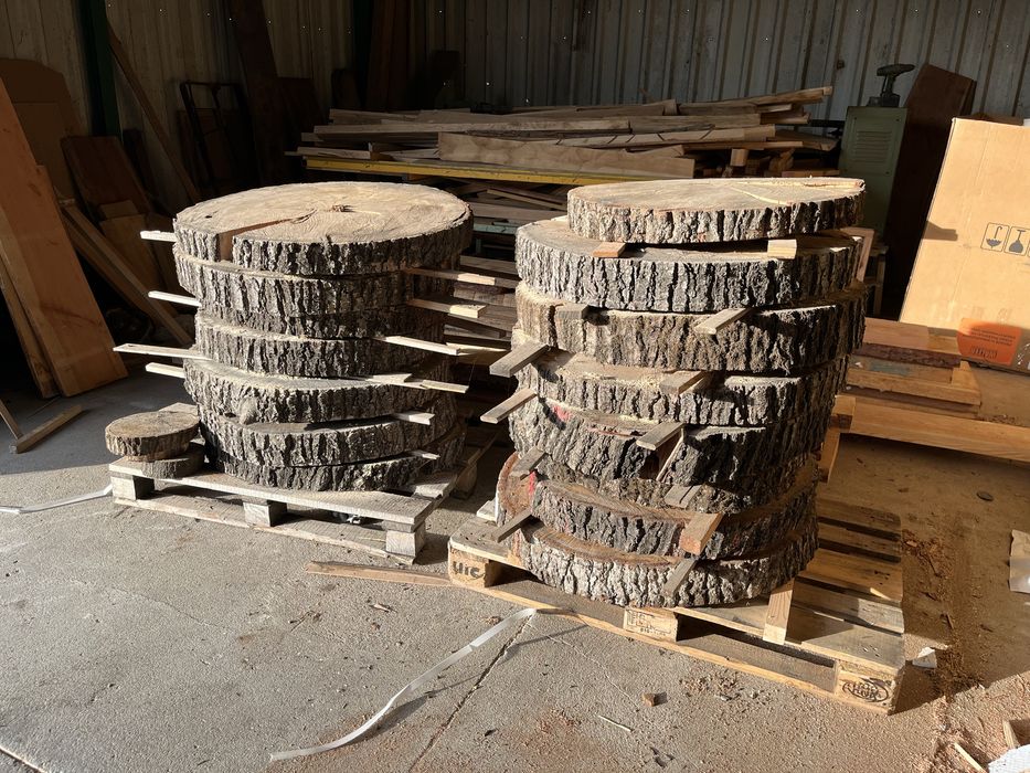 Plastry dębowe - wysuszone